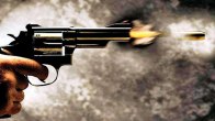 Serbia Shootout, Mladenovac, Serbia Police, Belgrade
