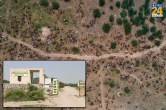 Lumpy virus havoc in Bikaner