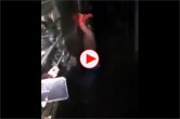 Thief in train