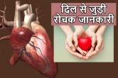 Heart Interesting Facts