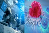 Cancer treatment