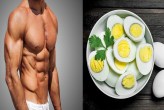 Egg Benefits in hindi