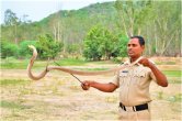 ind vs aus 3rd t20 hyderabad police snake catchers