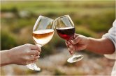wine