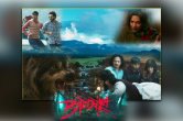 Bhediya Box Office Collection Day 12