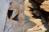 Tunnel found in a Jaipur court