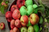 Apple Benefits