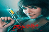 Bhediya Box Office Collection Day 13