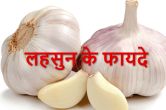 lehsun ke fayde