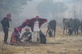 Rajasthan Winter Update