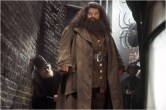 robbie coltrane harry potter