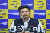 AAP, Delhi News, Raghav Chadha, Arvind Kejriwal, Manish Sisodia, BJP