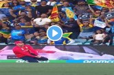 ENG vs SL Liam Livingston