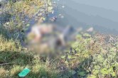Gwalior crime