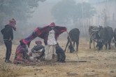 Rajasthan Winter Alert
