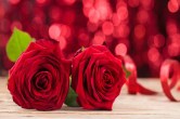 Rose flower