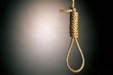 Suicide damoh