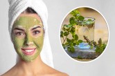 Tulsi Face Pack