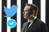 Twitter Blue Subscription for Apple users, Twitter