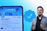Twitter Blue Tick Paid Service, Twitter Blue Tick