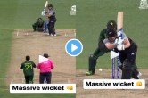 PAK vs NZ live score Glenn Phillips catch and bowled Mohammad Nawaz