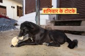 Shaniwar Ke Upay, Jyotish Tips, shani ke totke, tone totke, शनिवार के उपाय, शनिवार के टोटके, शनि की शांति के उपाय