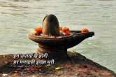 Shukra ke Upay, shukra ke upay lal kitab, shukra remedies, shukra dosha remedies, jyotish tips, shukra gochar 2022,
