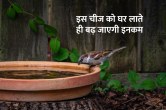 Vastu tips, vastu tips for career growth,vastu tips for happy married life, jyotish tips, jyotish tips for good luck, वास्तु टिप्स,