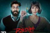 Bhediya Box Office Collection
