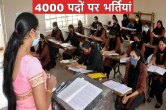 Govt Job Recruitment