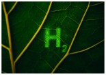 Green Hydrogen