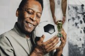 PELE