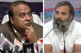 Himanta Biswa Sarma