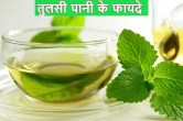 Tulsi Water Benefits
