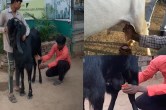 ajab gajab madhya pradesh