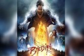 bhediya box office