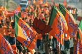 mp politics