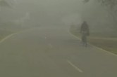Today Weather