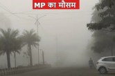 mp weather forecast