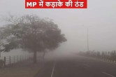 mp weather update