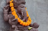 Rashi Ke Upay, upay for money, surya gochar, dhanu sankranti, 2023 Rashifal,