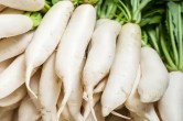 winter vegetable raddish