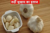 Garlic in Winter