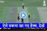 BBL 2022 Alex Hales lbw Sean Abbott