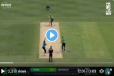 Stoinis Super Six