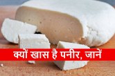 Paneer ke fayde