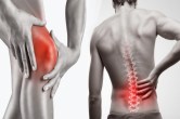 Bone Density