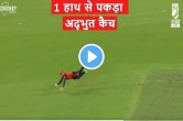 big bash league video
