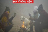 cold attack in madhya pradesh