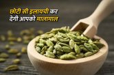 Jyotish Tips, Elaichi Ke Totke, Elaichi ke upay, tone totke, इलायची के उपाय